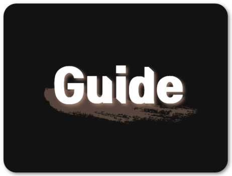 Guide