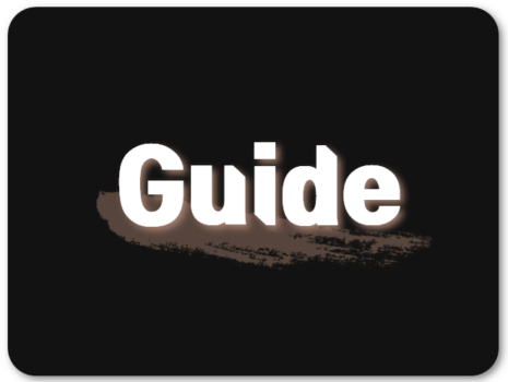Guide